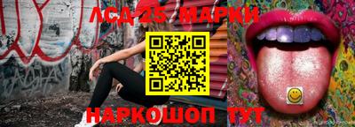 индика Обнинск