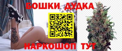 индика Обнинск