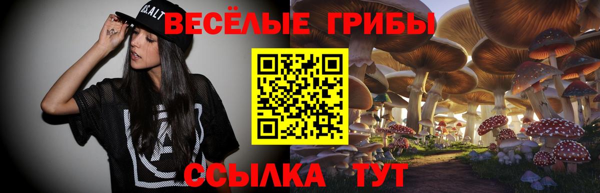 Псилоцибиновые грибы Cubensis Реутов